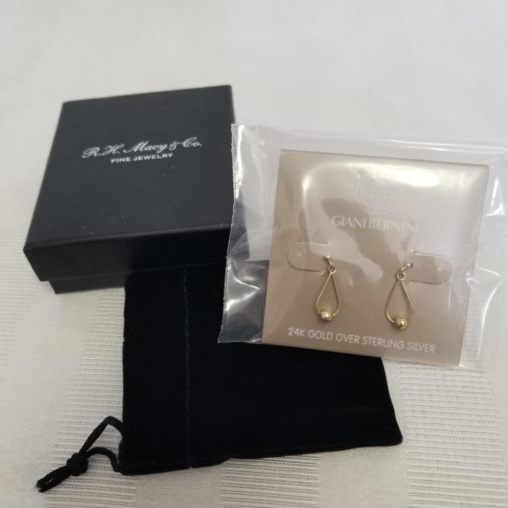 NWT Delicate Gold Earrings